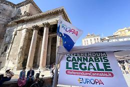 Nasce il Comitato "No droga legale": «Tutte le droghe lasciano effetti sul futuro di chi le usa»