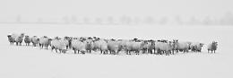 Sanremo, sul palco tante (finte) trasgressioni