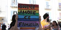 Padova, ai bambini non è stata tolta «una delle due mamme», bensì il papà