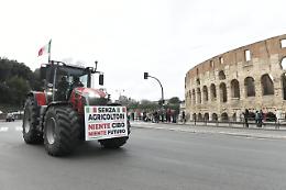 Il rumore dei trattori fa bene alla salute