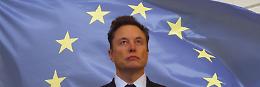 Musk lancia «Make Europa Great Again». Bruxelles avvertita