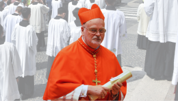 Card. Arborelius: «In Svezia le vocazioni sacerdotali sono in aumento»