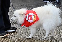 Referendum, dire di "no" ci condanner&agrave;