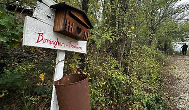 La &ldquo;famiglia nel bosco&rdquo; e lo Stato che separa: dalla tutela dei minori all&rsquo;ingegneria sociale