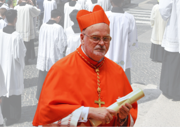 Card. Arborelius: «In Svezia le vocazioni sacerdotali sono in aumento» Card. Arborelius: «In Svezia le vocazioni sacerdotali sono in aumento»