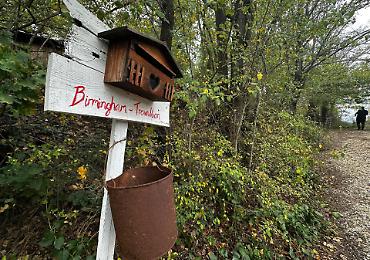 La &ldquo;famiglia nel bosco&rdquo; e lo Stato che separa: dalla tutela dei minori all&rsquo;ingegneria sociale