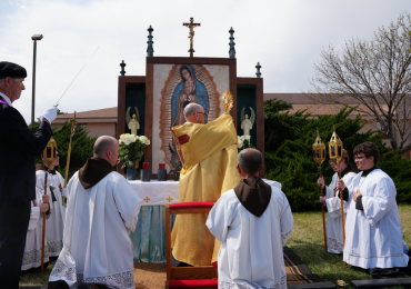 PROFILO X, VESCOVO CONLEY, NEBRASKA,LINCOLN PROFILO X, VESCOVO CONLEY, NEBRASKA,LINCOLN