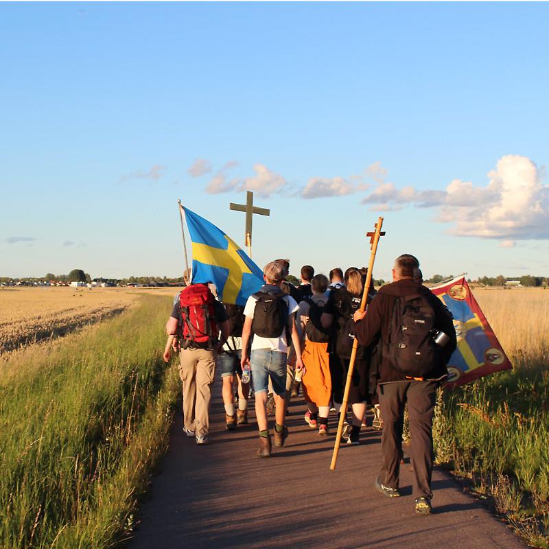 dossier_pagVIII_(1000X1000)