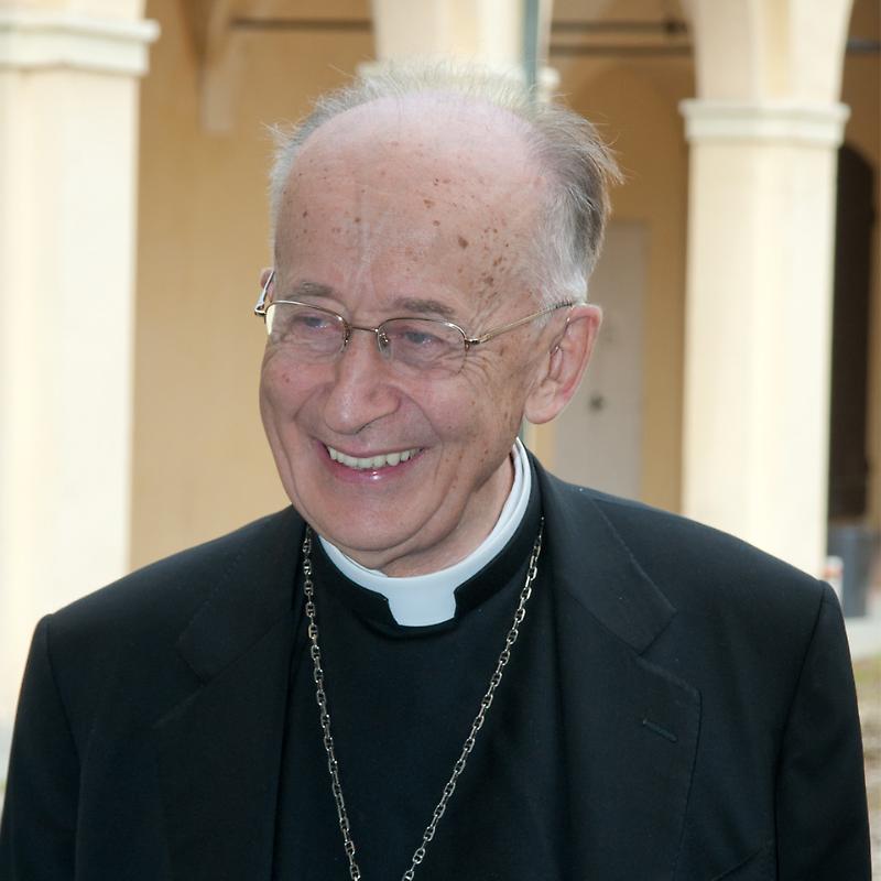 pag.21Ruini(1000X1000)