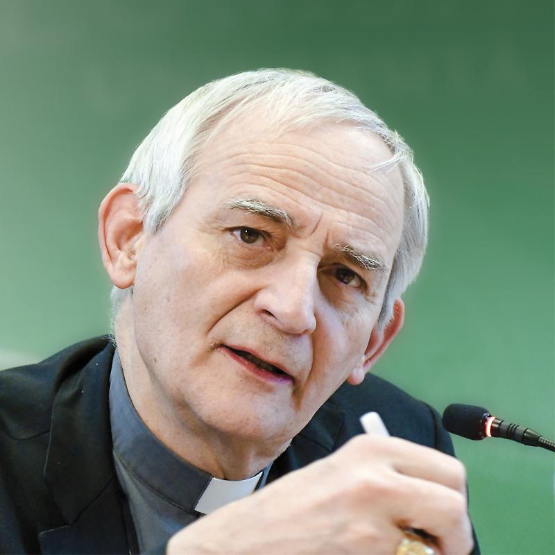 pag 11 Zuppi(1000X1000)