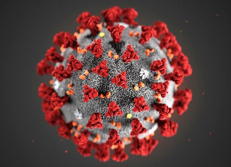 coronavirus_scienza