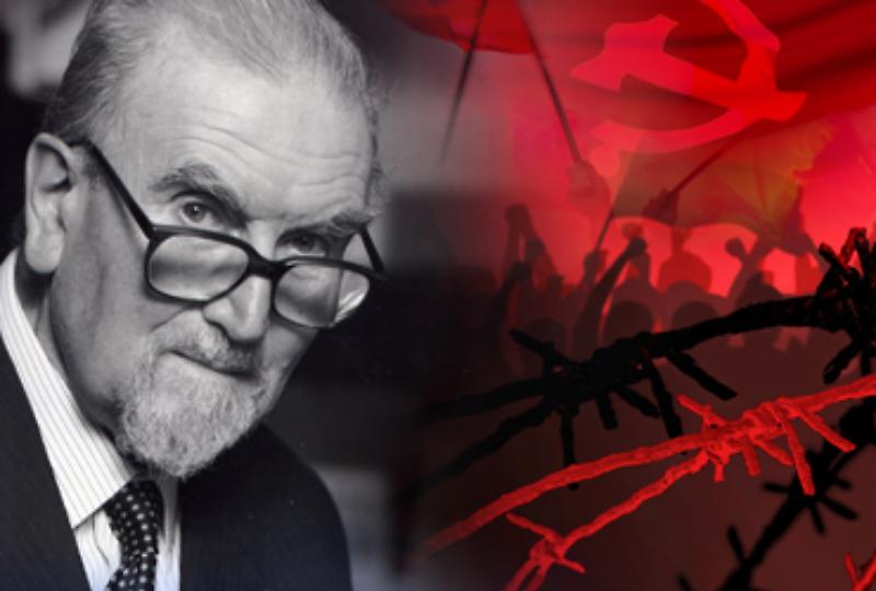 pag41_Corti(370X250)