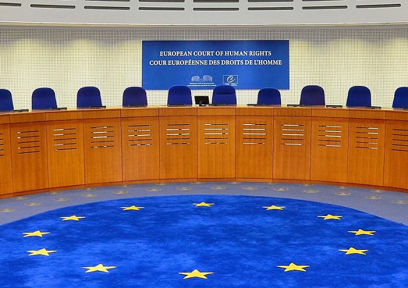 European_Court_of_Human_Rights,_courtroom,_2014_(cropped)