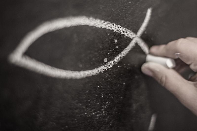 fish-2450601_960_720