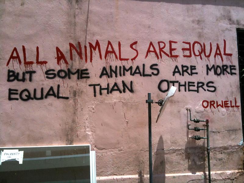 animal farm