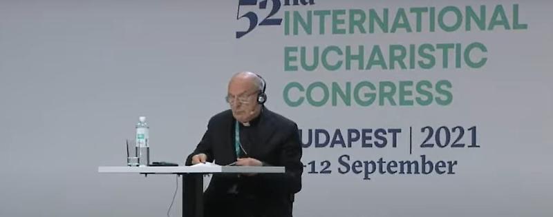 camisasca budapest02