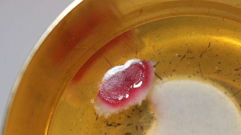 Euch. Wunder in Liegnitz