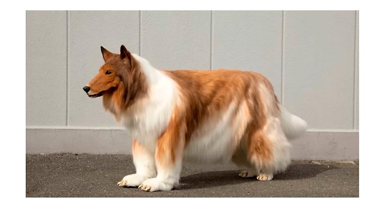 CONCISTORO LA CERIMONIA IN BASILICA