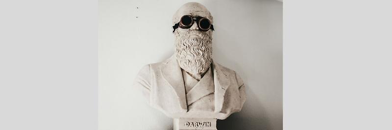 Darwin