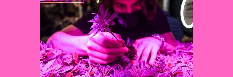 WhatsApp Image 2024-06-25 at 15.55.35