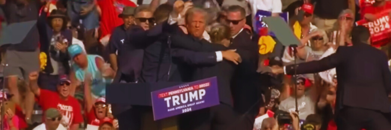 Donald Trump Fight