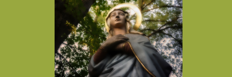 Progetto senza titolo (71)