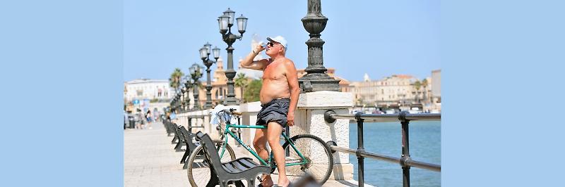 WhatsApp Image 2024-08-13 at 14.41.10