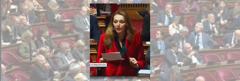 valéry-boyer-senatrice-fr