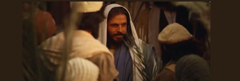 Domenica delle Palme