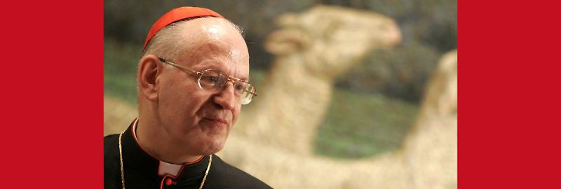 Progetto senza titolo