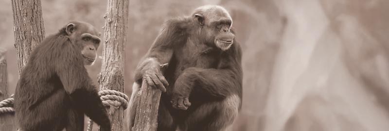 pag 46-47 (1920x650)