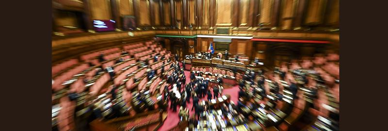 senato 01 imago