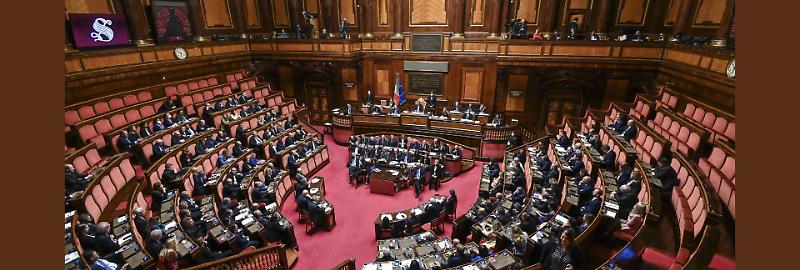 senato imago