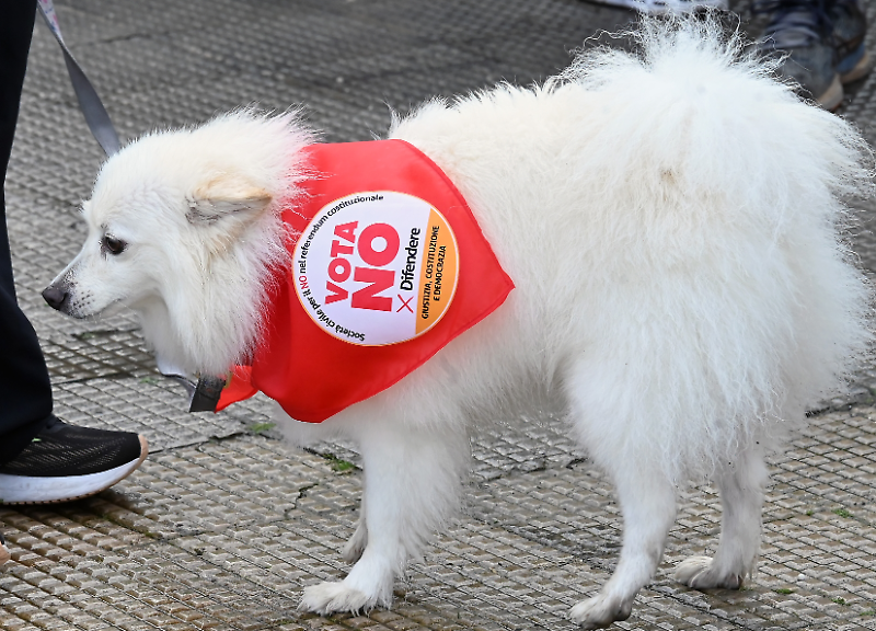 Referendum, dire di "no" ci condanner&agrave;