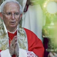 «Non abbiate paura»: la “tristezza” del cardinale Cañizares vedendo la cattedrale vuota